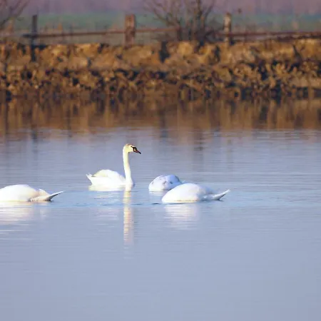 Apartment 3 D Lido di Spina