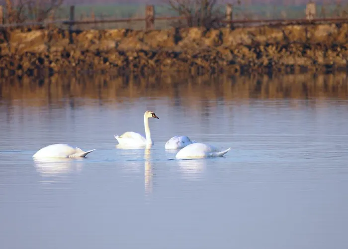 Lägenhet 3 D Lido di Spina